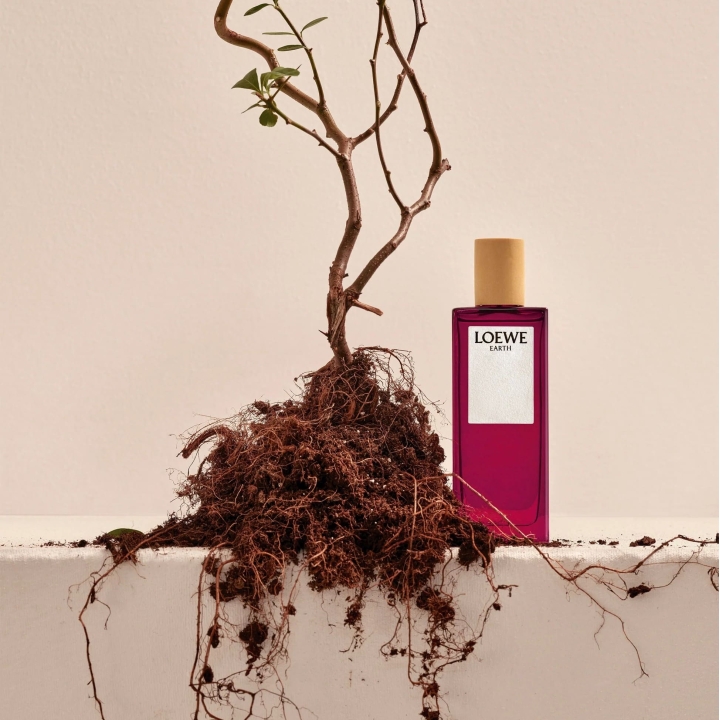 Парфюм Loewe Earth