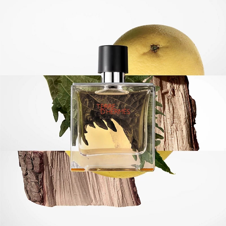 Парфюм HERMÈS TERRE D'HERMÈS
