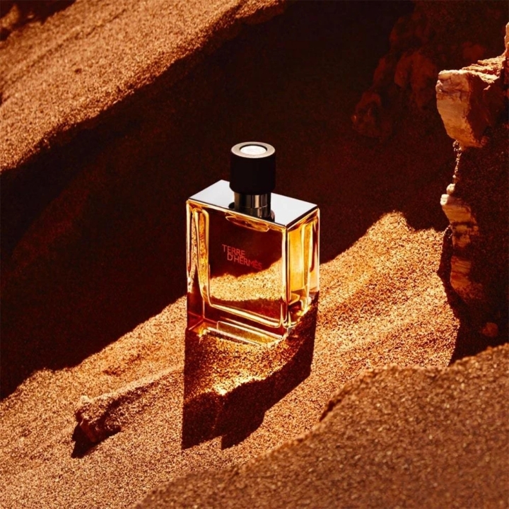 Подарочный набор HERMÈS Terre D'Hermes Eau de Toilette