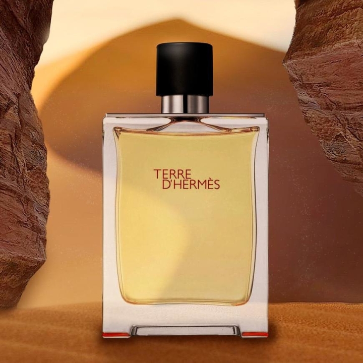 Туалетная вода HERMÈS Terre d'Hermès