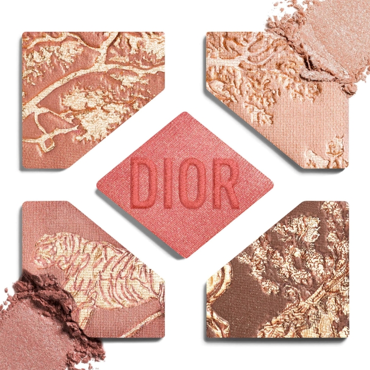 Dior Diorshow 5 Couleurs Limited Edition Тени для век в оттенке #654CoralRiviera