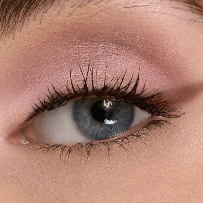DiorShow 5 Couleurs 855 ローズ モーヴ Тени для век в оттенке #855RoseMoiré - купить в интернет-магазине